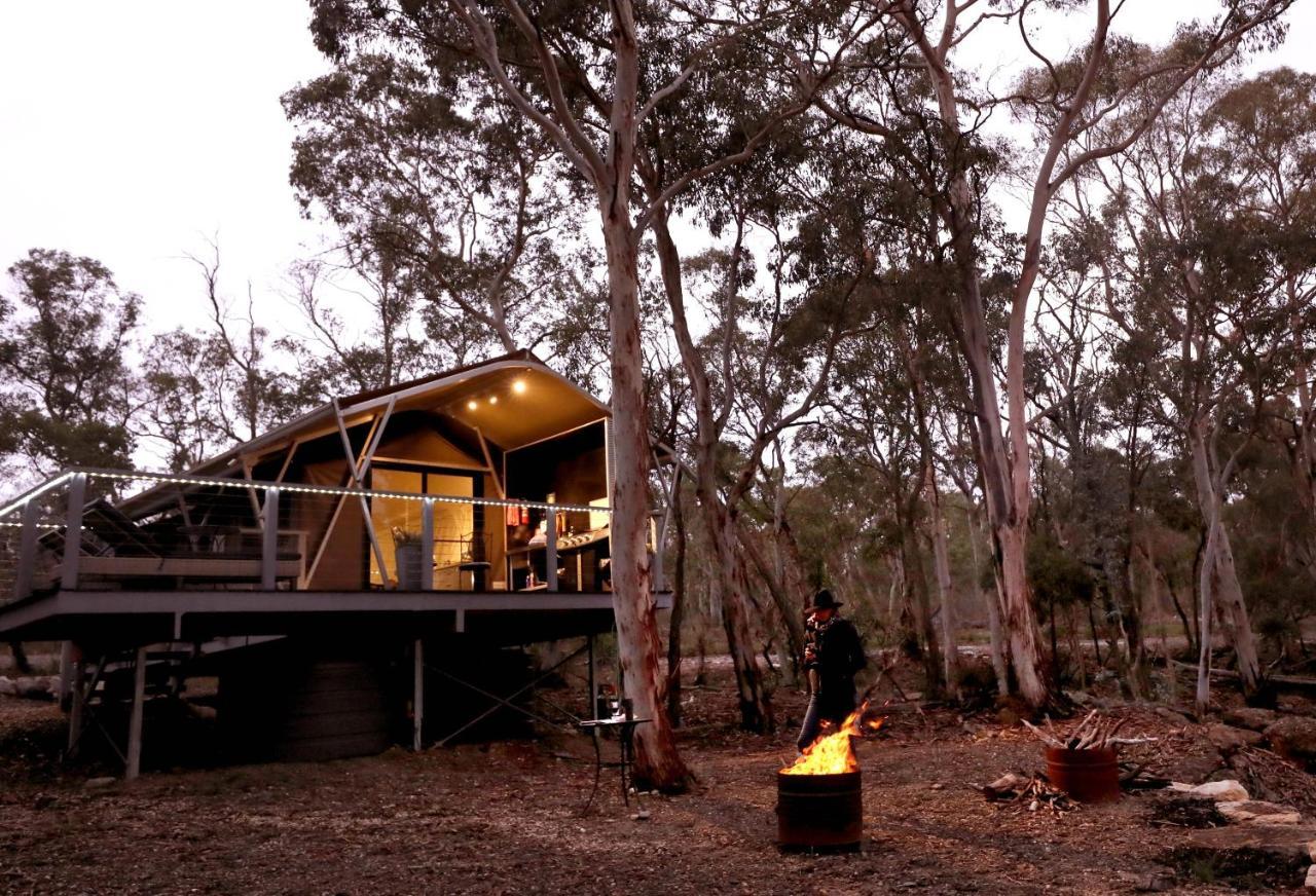 Wallabies Rest Ben Bullen Exterior foto